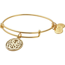 Load image into Gallery viewer, Alex and Ani Path of Life Color Infusion Charm Bangle